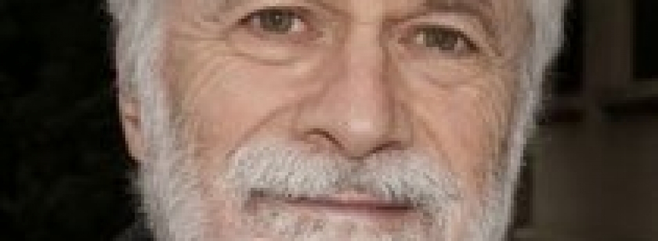 Evento zoom: “ Fascino, Santi e Feste nella Puglia tradizionale”