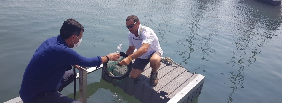 PRESENTATO IL “SEABIN”, PATTUMIERA DI MARE CHE RACCOGLIE MICROPLASTICHE