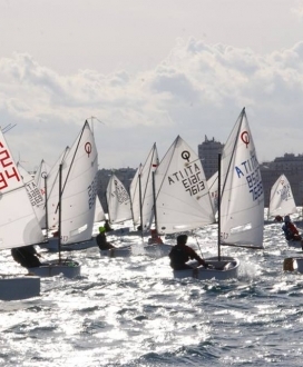 Regata 2